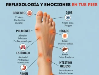Mapa de reflexología podal con zonas del pie asociadas a órganos como cerebro, hígado, riñón e intestino grueso, y emociones relacionadas